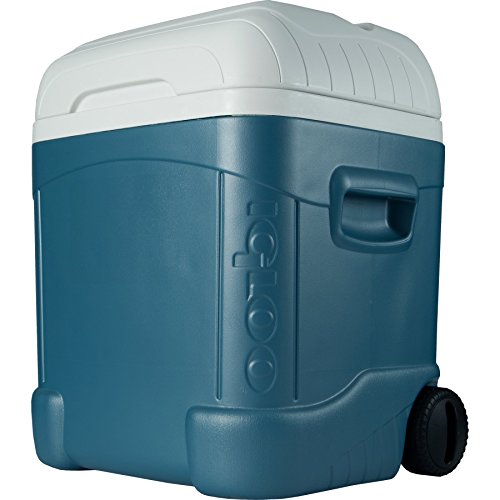 igloo vertical lunch box